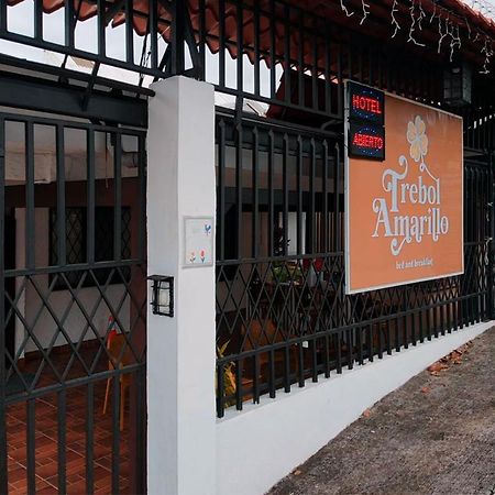 Trebol Amarillo Bed & Breakfast Escazú Exteriör bild