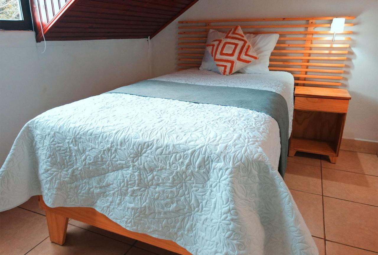 Trebol Amarillo Bed & Breakfast Escazú Exteriör bild